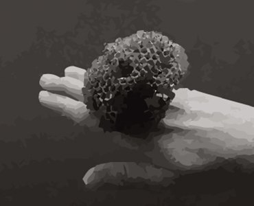 Estudios y Residencia Artística en Murcia